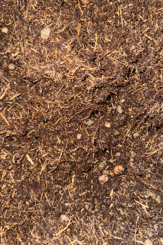 TERRICCIO VIGORPLANT SENZA TORBA