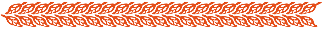 La nostra filiera delle piante