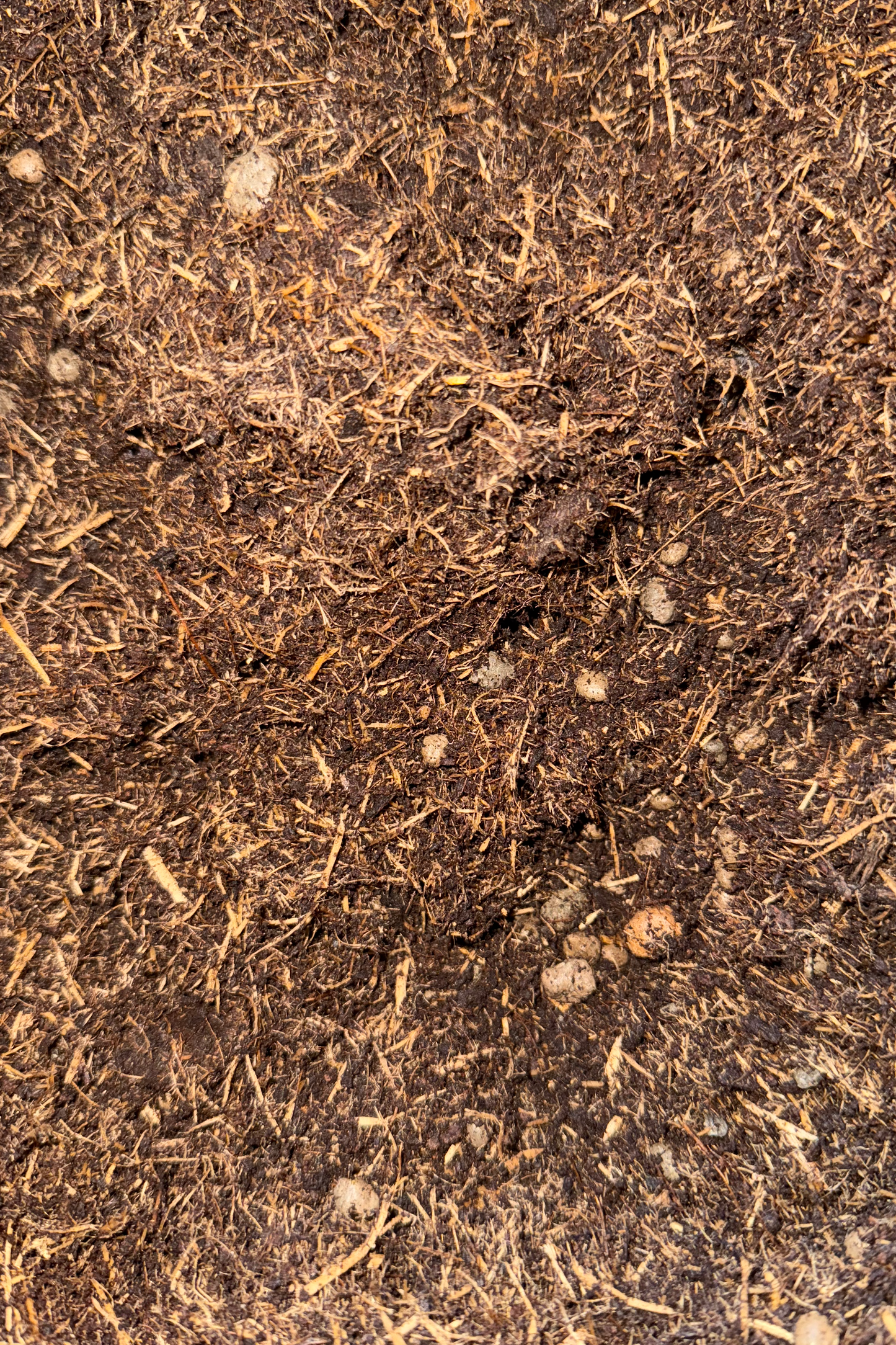 TERRICCIO VIGORPLANT SENZA TORBA