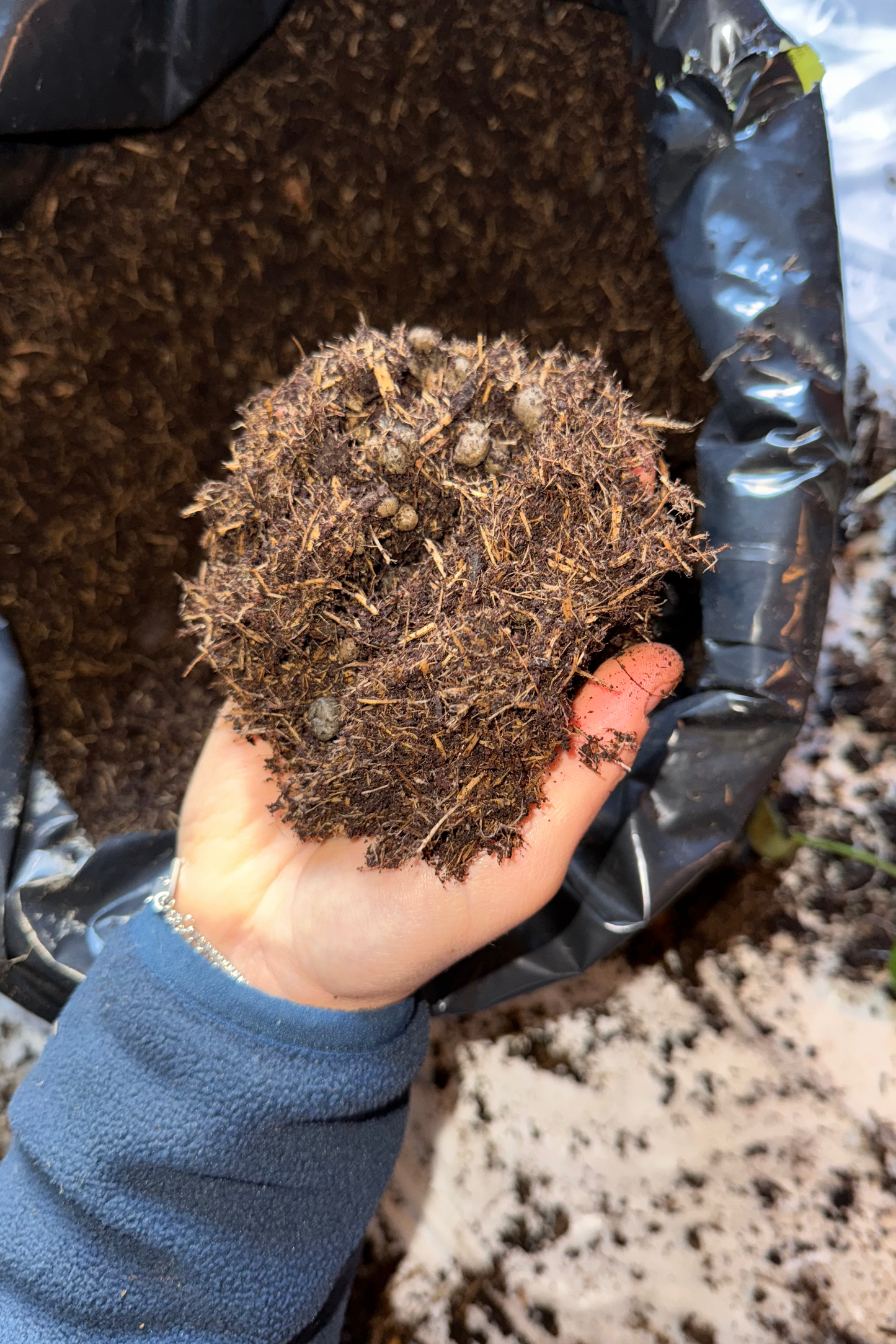 TERRICCIO VIGORPLANT SENZA TORBA