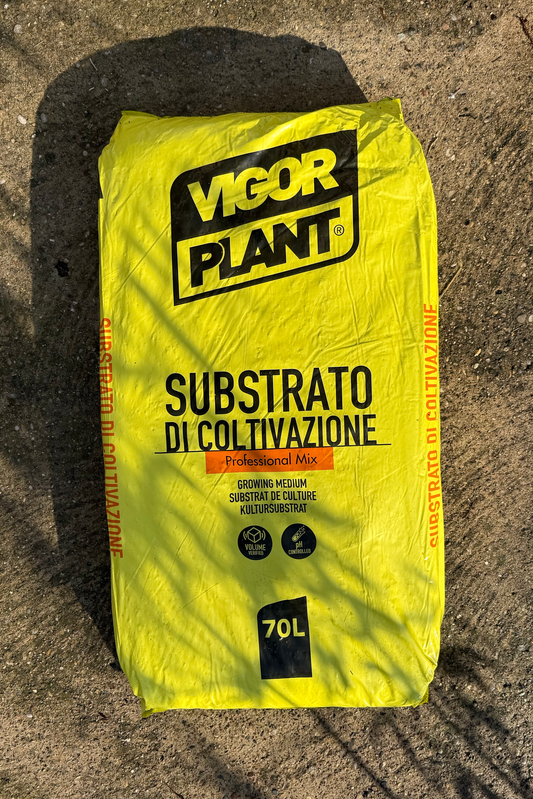 TERRICCIO VIGORPLANT SENZA TORBA